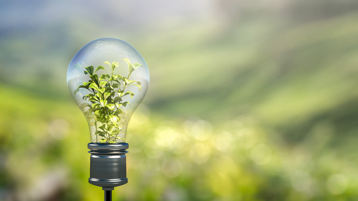 Eco friendly light bulb Eco friendly light bulb