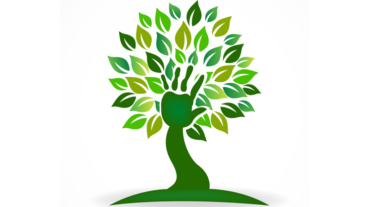Circling back on the Circular Economy Circling back on the Circular Economy