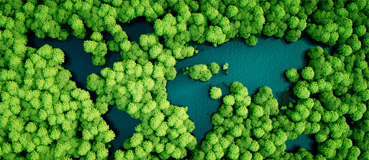 sustainability-blog-201902 sustainability-blog-201902